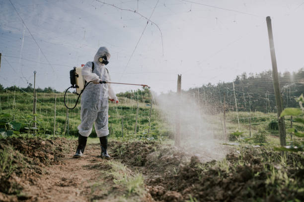 Best Pest Prevention Services  in Croom, MD