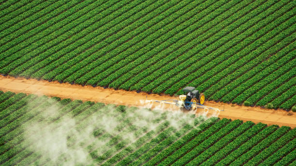 Best Termite Control Services  in Croom, MD