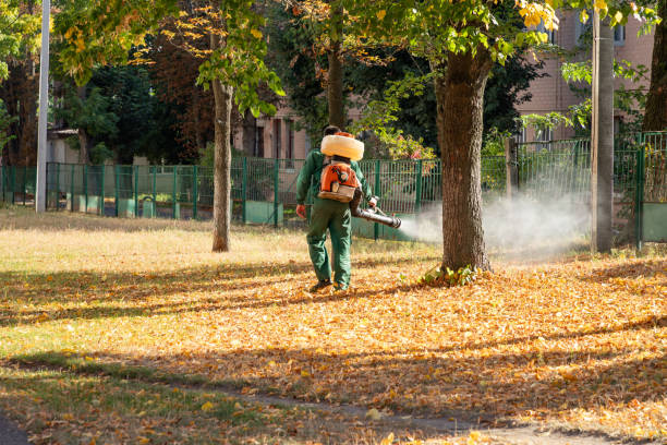 Best Pest Control for Homes  in Croom, MD