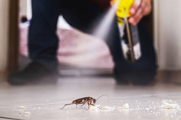 Pest Control for Restaurants in Croom, MD